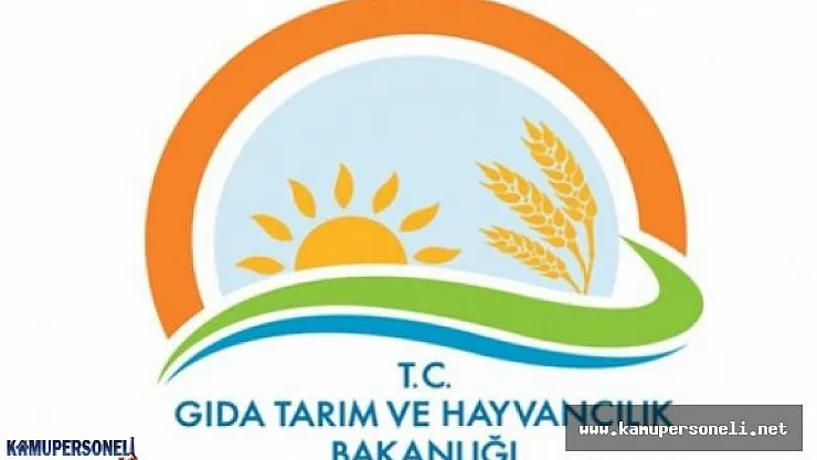 Gıda Tarım ve Hayvancılık Bakanlığı Sözleşmeli Personel Alımı