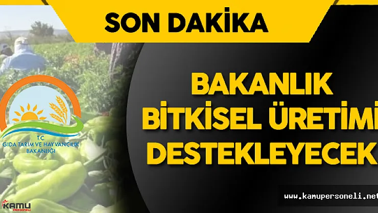GTHB Bitkisel Üretime Destekleme Ödemesi Yapılmasına Dair Tebliği Resmi Gazete'de