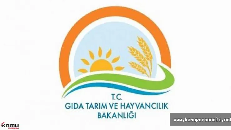 GTHB Lise Mezunu Sözleşmeli Personel Alımı Başvuruları Sona Eriyor