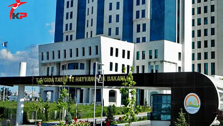 GTHB Şehit ve Malul Yakınlarının Atanması İçin İstenilen Belgeler Açıklandı