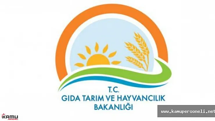 GTHB Tarafından Norm Kadro Duyurusu