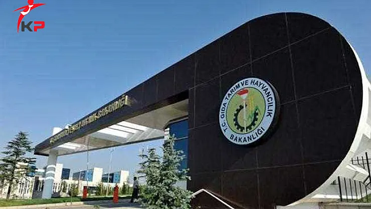 GTHB Yurt Dışına Gönderilecek Personelin Başvuruları Başladı