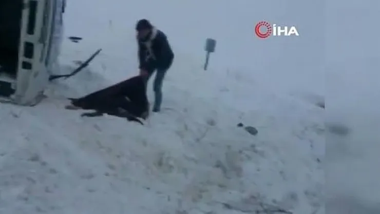 Halk otobüsü şarampole yuvarlandı! 1 ölü, 20 yaralı