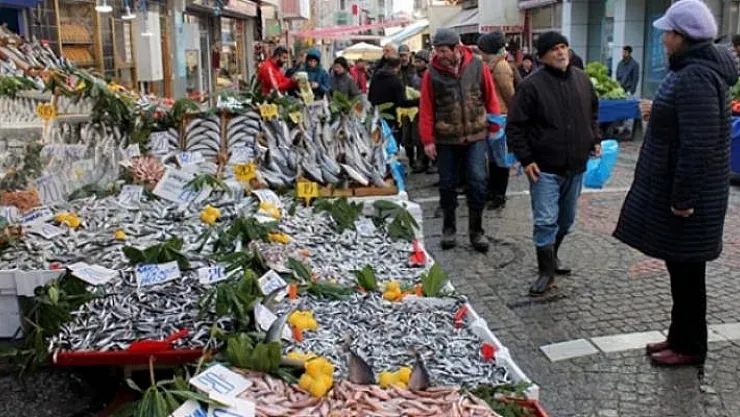 Hamsi bolluğu yaşanıyor