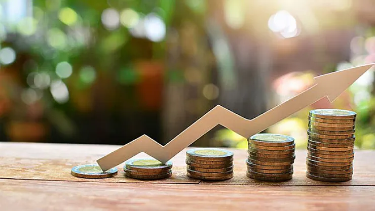 Hangisi Çok Kazandırıyor? Döviz Mi, Gayrimenkul Mu?