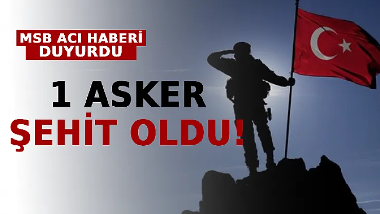 Harekat Bölgesinden Acı Haber Geldi: 1 Asker Şehit Oldu