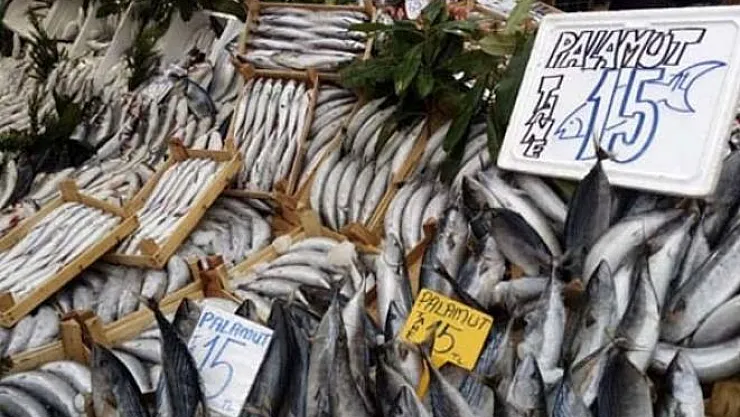 Havaların soğumasıyla balık fiyatları düştü