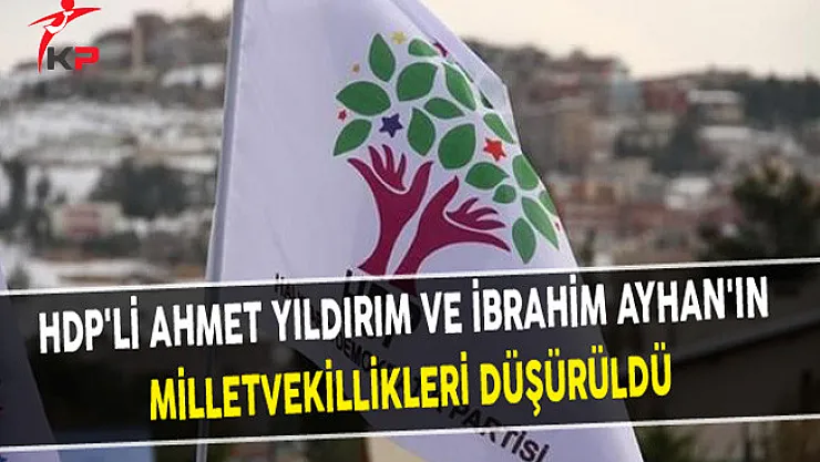 HDP'li Ahmet Yıldırım ve İbrahim Ayhan'ın Milletvekillikleri Düşürüldü