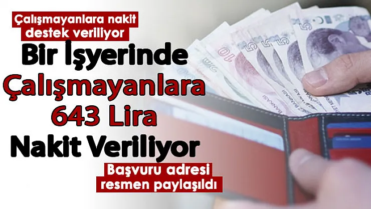 Herhangi bir işte çalışmayan vatandaşlara her ay 643 lira destek veriliyor! İşte başvuru adresi