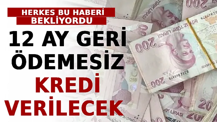 Herkes Bu Haberi Bekliyordu! 12 Ay Geri Ödemesiz Kredi Verilecek