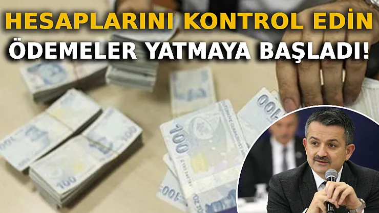 Hesaplarınızı Kontrol Edin: Ödemeler Yatmaya Başladı