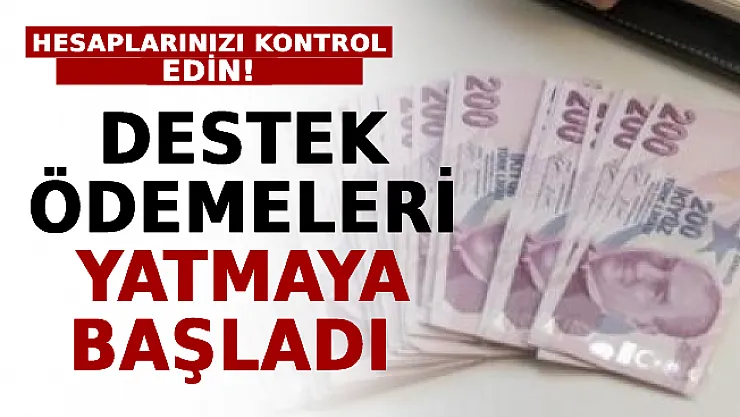 Hesaplarınızı Kontrol Edin: Destek Ödemeleri Yatmaya Başladı