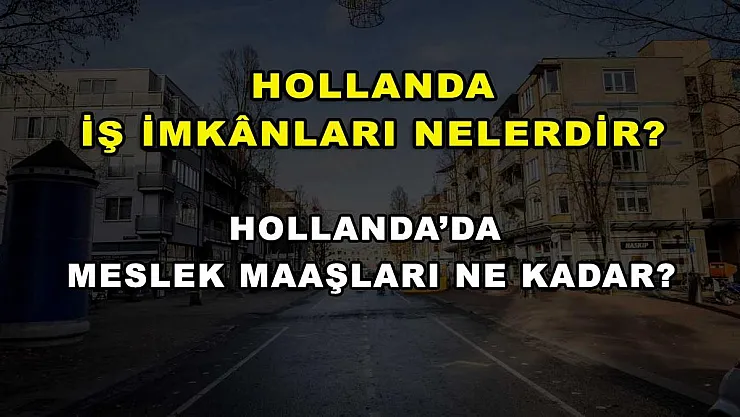 Hollanda İş İmkanları Nelerdir? Hollanda'da Meslek Maaşları Ne Kadar?