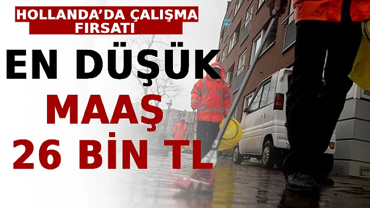 Hollanda'da Çalışma Fırsatı: En Düşük Maaş 26 Bin TL