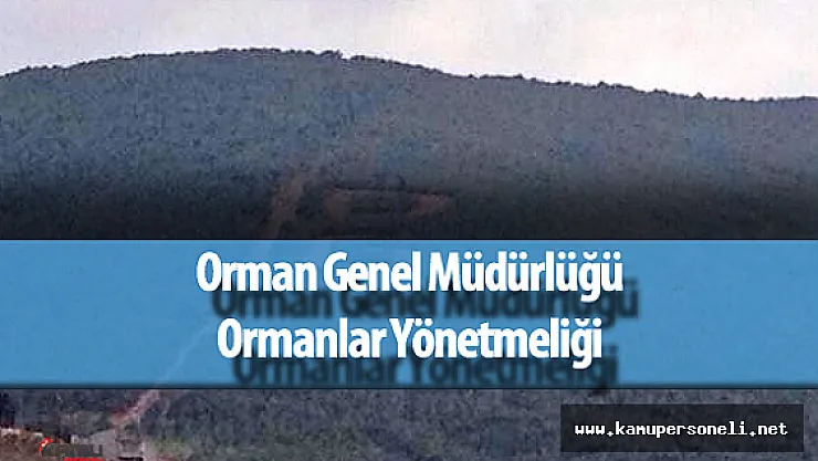 Hususi Ormanlar ve Hükmi Şahsiyeti Haiz Amme Müessseselerine Ait Ormanlar Yönetmeliği