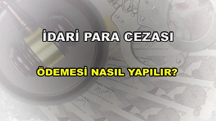 İdari Para Cezası Ödeme Nasıl Yapılır?