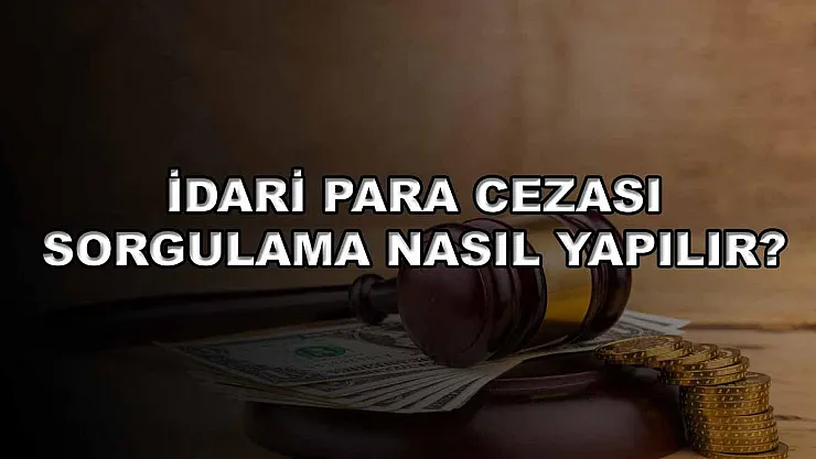 İdari Para Cezası Sorgulama Nasıl Yapılır?