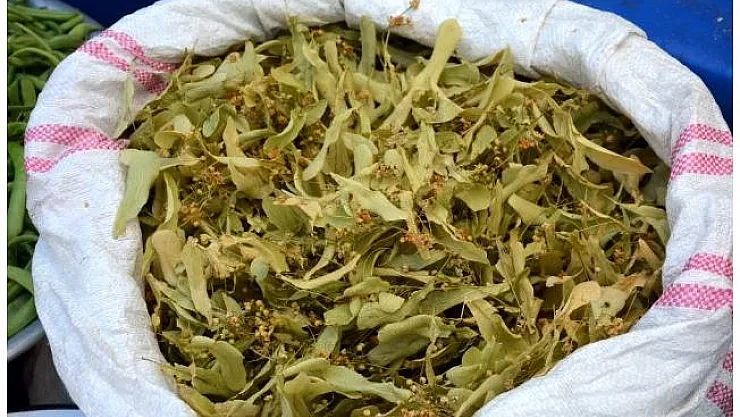 Ihlamura talep artınca kilosu 130 TL'ye çıktı!