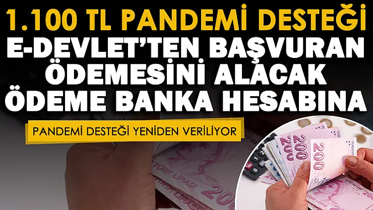 İhtiyaç sahibi vatandaşlara e-Devlet'ten başvuru yapılarak 1.100 TL pandemi desteği veriliyor
