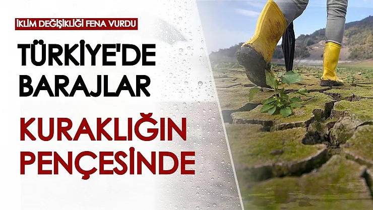 İklim değişikliğinin boyutu gözler önüne serildi: Türkiye kuraklığın pençesinde