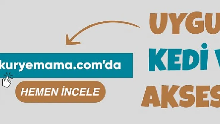 İnternet üzerinden pet store köpek kedi bakım ve kum ürünler kurye mama alınır