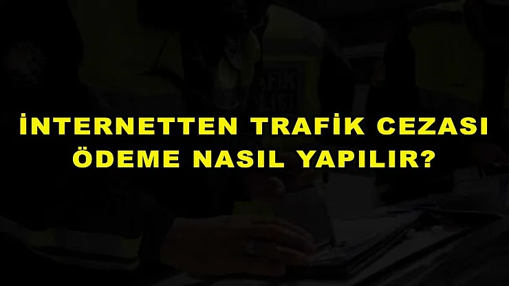 İnternetten Trafik Cezası Ödeme Nasıl Yapılır?