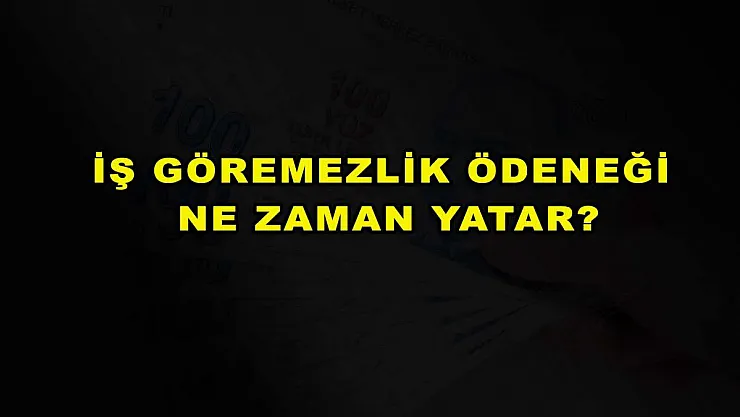 İş Göremezlik Ödeneği Ne Zaman Yatar?