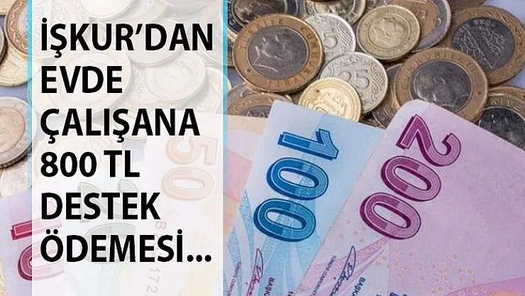 İŞKUR Evden Çalışanlara 800 TL Veriyor! Başvuru Ekranı Açıldı