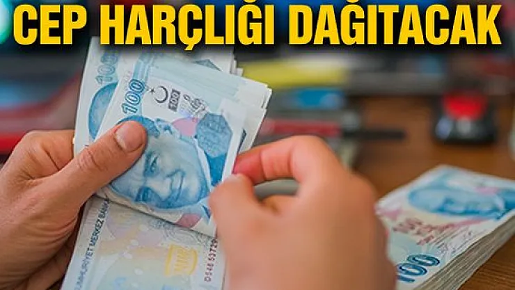 İŞKUR günlük 106 TL ödeme yapıyor! 15-60 yaş arası başvuruda bulunabilir!