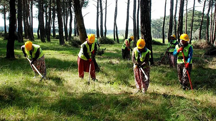 İŞKUR İle 1619 TYP Personeli Alım İlanı Yayımlandı! Toplum Yararına Programlar Personeli Alımı İŞKUR