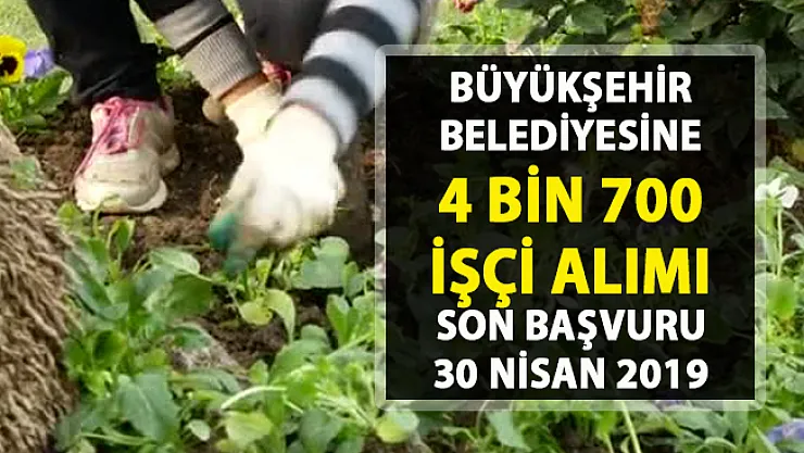 İŞKUR vasıfsız işçi alımı iş ilanları! Ankara Büyükşehir Belediyesine 4 bin 700 işçi alımı yapılacak..