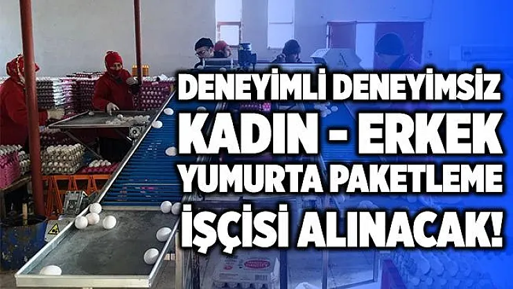 İŞKUR Yumurta paketleme işçisi alımı! Paketleme işçisi alımı 2020! İŞKUR paketleme işçi alımı
