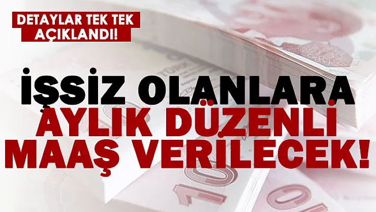 Bu şartları taşıyanlara İŞKUR'dan aylık düzenli maaş!