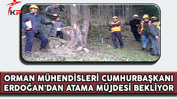 İşsiz Orman Mühendisleri Cumhurbaşkanı Erdoğan'dan Atama Müjdesi Bekliyor