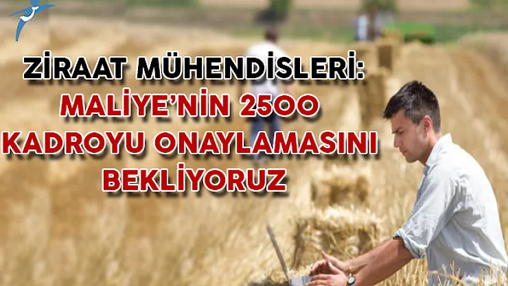 İşsiz Ziraat Mühendisleri: Maliye'nin 2500 Kadroyu Onaylamasını Bekliyoruz