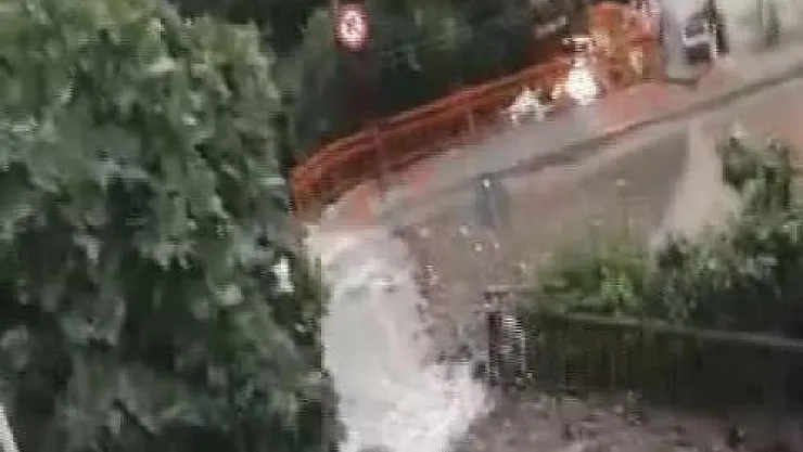 İstanbul Kağıthane'de meydana gelen su baskını nedeniyle bir çok hayvan telef oldu