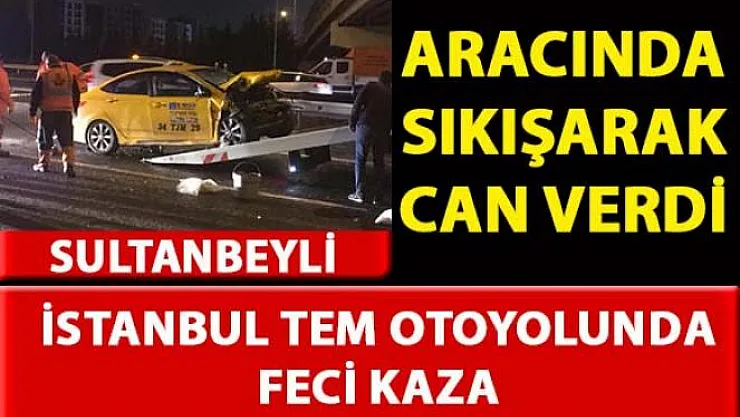 İstanbul TEM otoyolu'nda meydana gelen trafik kazası sonucu bir kişi hayatını kaybetti