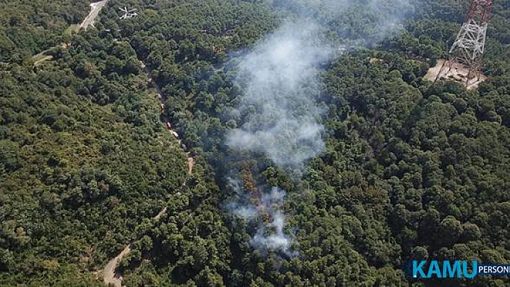 İstanbul'da Orman Yangını: Ekipler Anında Müdahale Etti