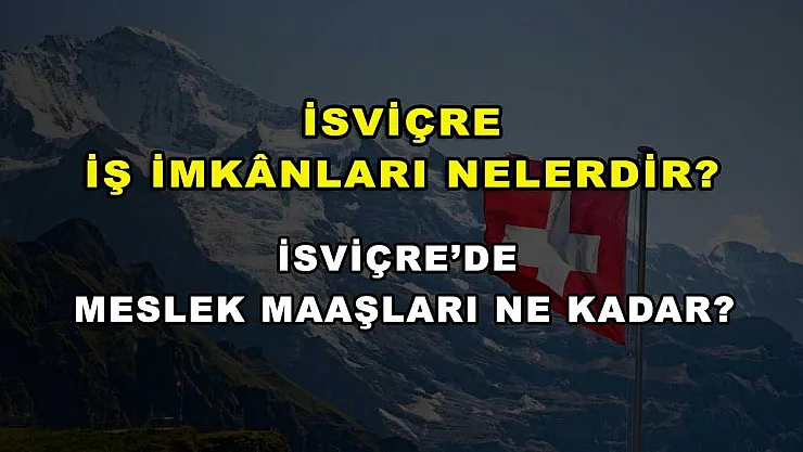 İsviçre İş İmkanları Nelerdir? İsviçre'de Meslek Maaşları Ne Kadar?