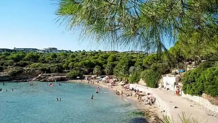 İzmir'in en güzel koyu Ekmeksiz Tabiat Parkı doğaseverleri büyülüyor