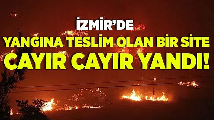 İzmir'deki orman yangını büyüyor! 79 haneli site küle döndü!