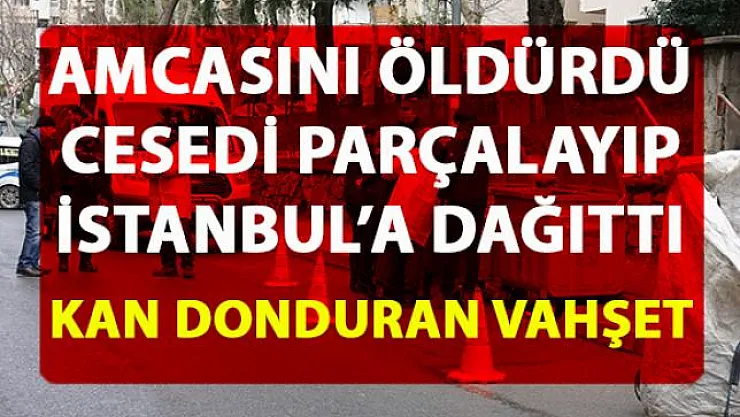 Kadıköy'de vahşet! Amcasını öldürüp cesedini parçalayarak çöp konteynerlerine attı