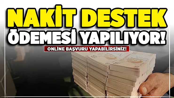 Kamu bankasından nakit destek kampanyası! Online başvuru imkanı var