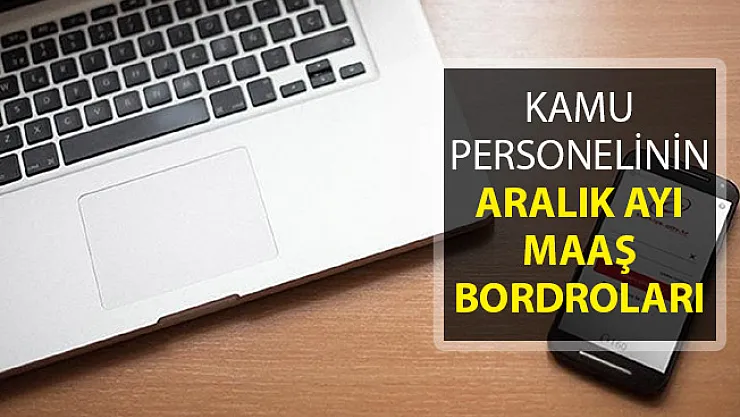 Kamu Personelinin Aralık Ayı Maaş Bordroları Yayımlandı ! e-Bordro Sorgulama Ekranı