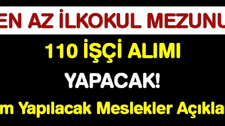 Kamuya 110 daimi kamu işçisi alımı başvuruları başladı!