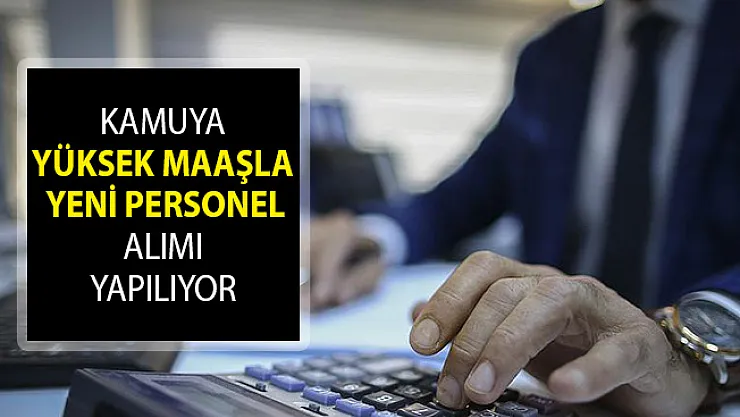 Kamuya Yüksek Maaşla Yeni Personel Alımı Yapılıyor! DPB Kamu Personeli Alımı Ekranı 2019!