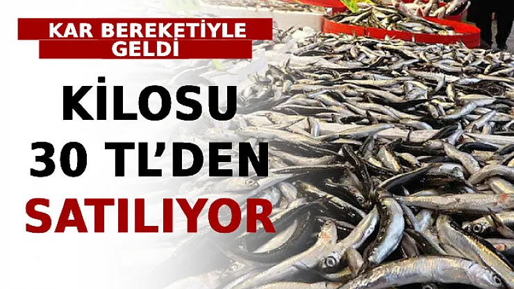 Kar Bereketiyle Geldi! Kilosu 30 TL'den Satılıyor