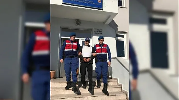 Kayıp kişinin cesedinin ormanlık alanda bulunması