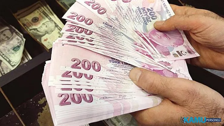 Kendi işini kuran engelli ve eski hükümlüye 50 bin TL devlet hibesi! Hibeye nasıl başvurulur?