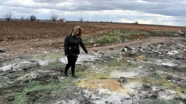 Kırklareli'e Vahşet ! Yakılmış Kedi ve Köpek Cesetleri Bulundu